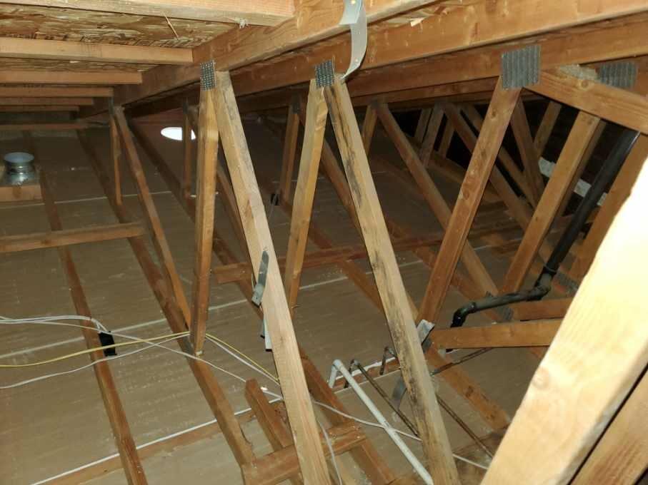 insulation removal and attic cleaning