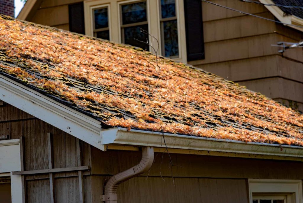 a roof of a house with leaves on it