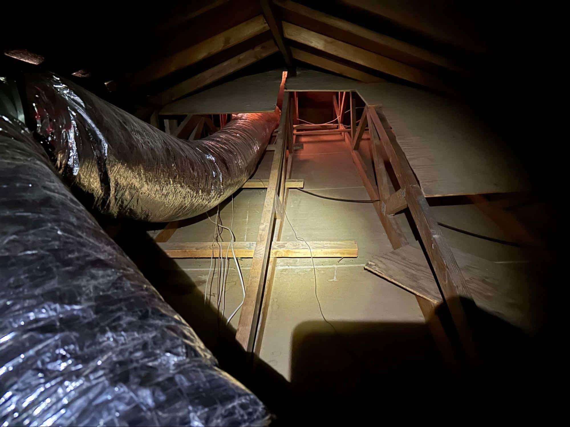 attic cleaning and insulation