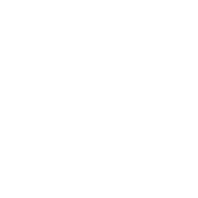 SCH Logo+WHT
