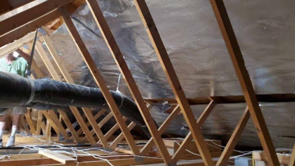 How Much Does It Cost to Professionally Remove Rodents from My Attic
