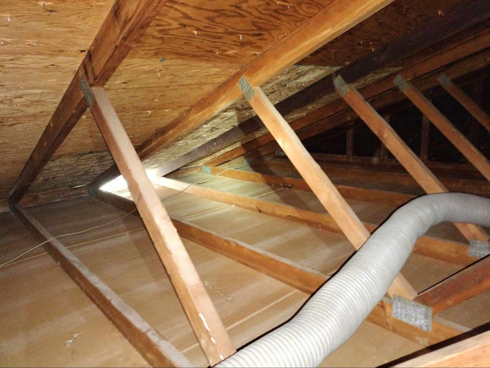 Read more about the article The Ultimate Guide to Keeping Rodents Out of Your Attic