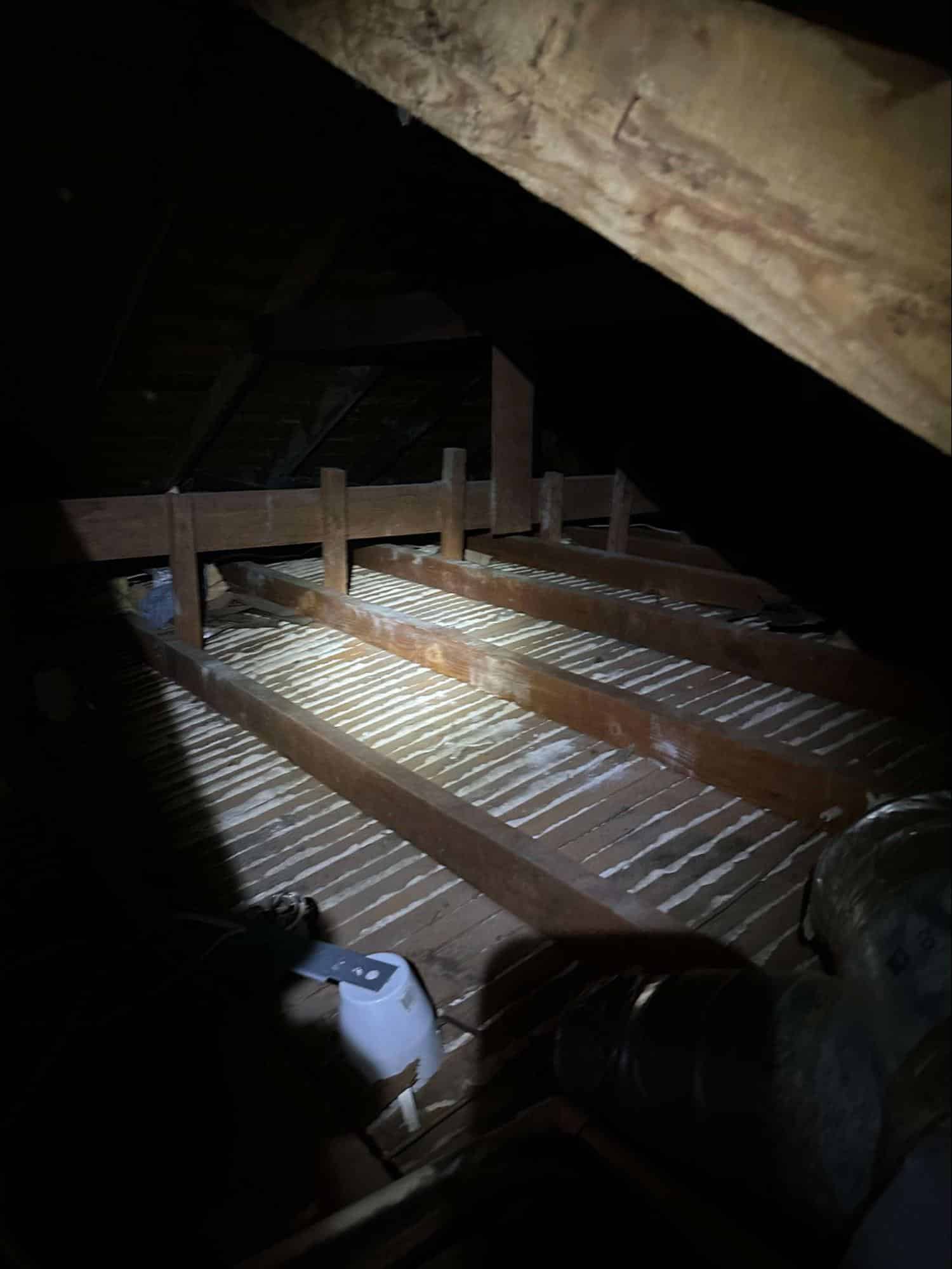 Read more about the article DIY vs. Professional Attic Cleaning: Benefits, Risks, and Cost Comparison