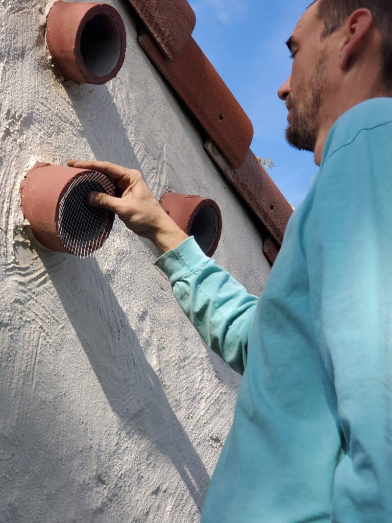 rodent-proofing attic