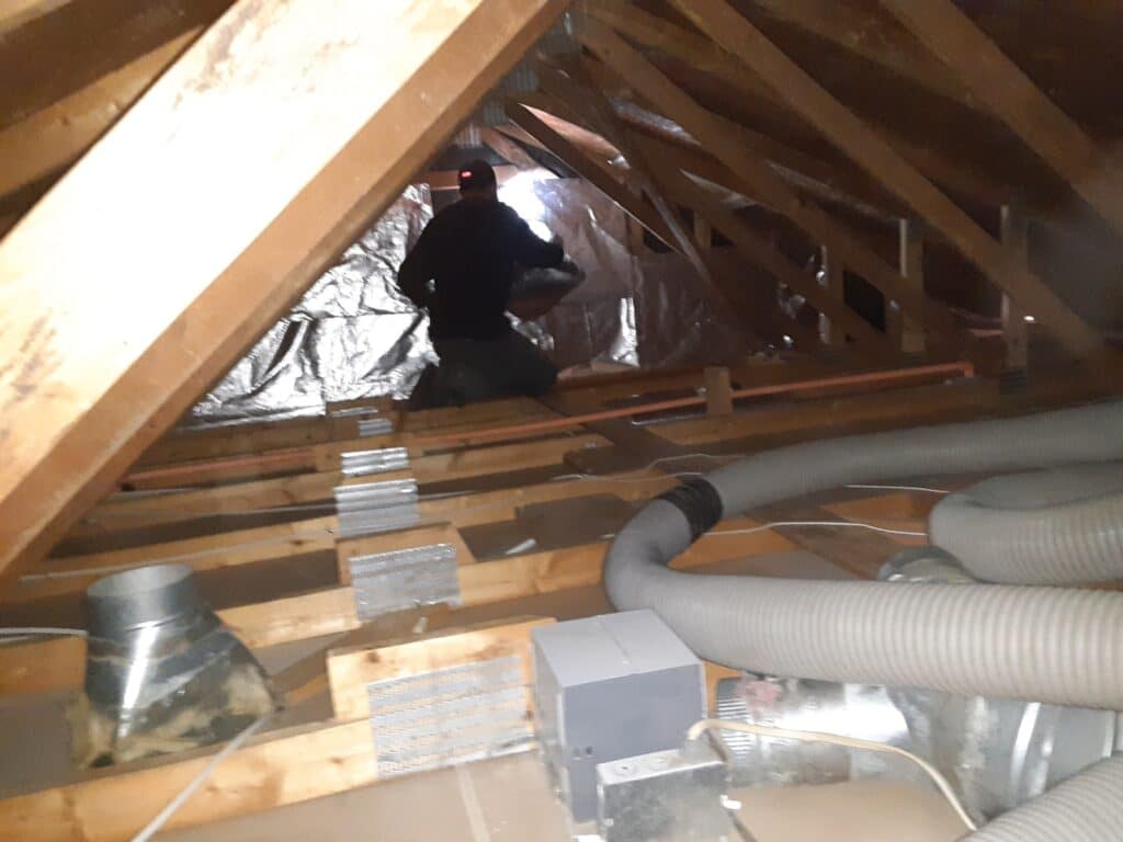 ceiling insulation removal