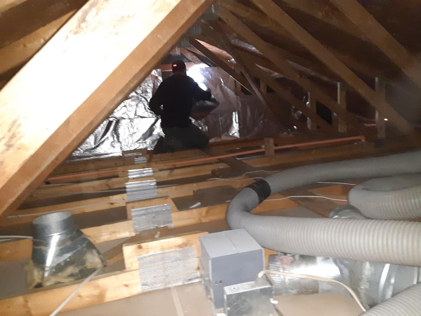 Read more about the article Is It Time to Replace Your Insulation? A Ceiling Insulation Removal Checklist