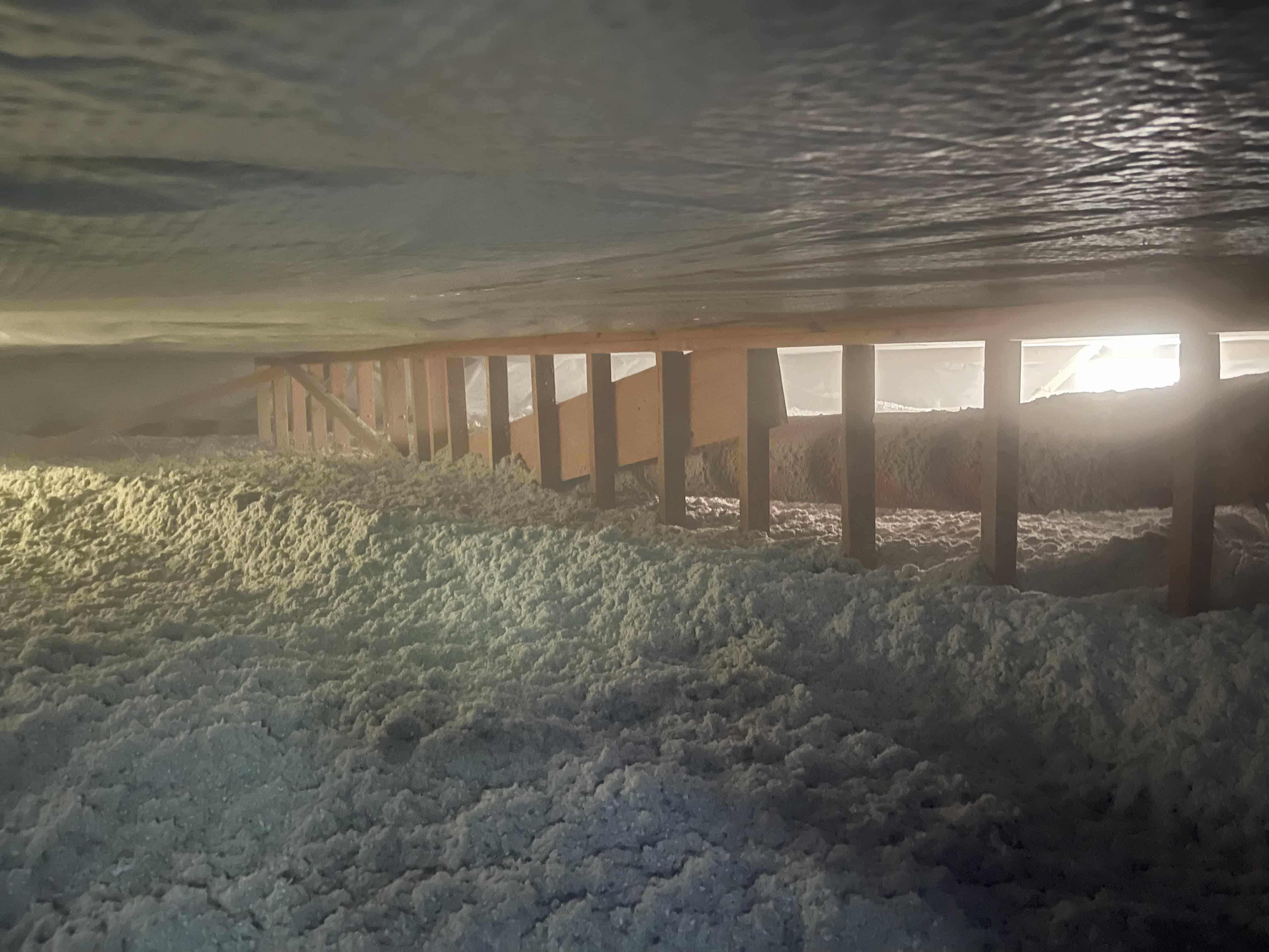 Read more about the article Is Your Insulation Making You Sick? When to Consider Insulation Removals