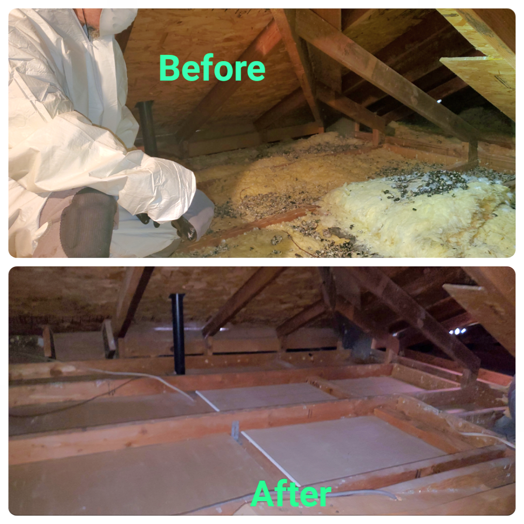 Read more about the article Before and After: How Attic Cleaning Transforms Your Entire Home