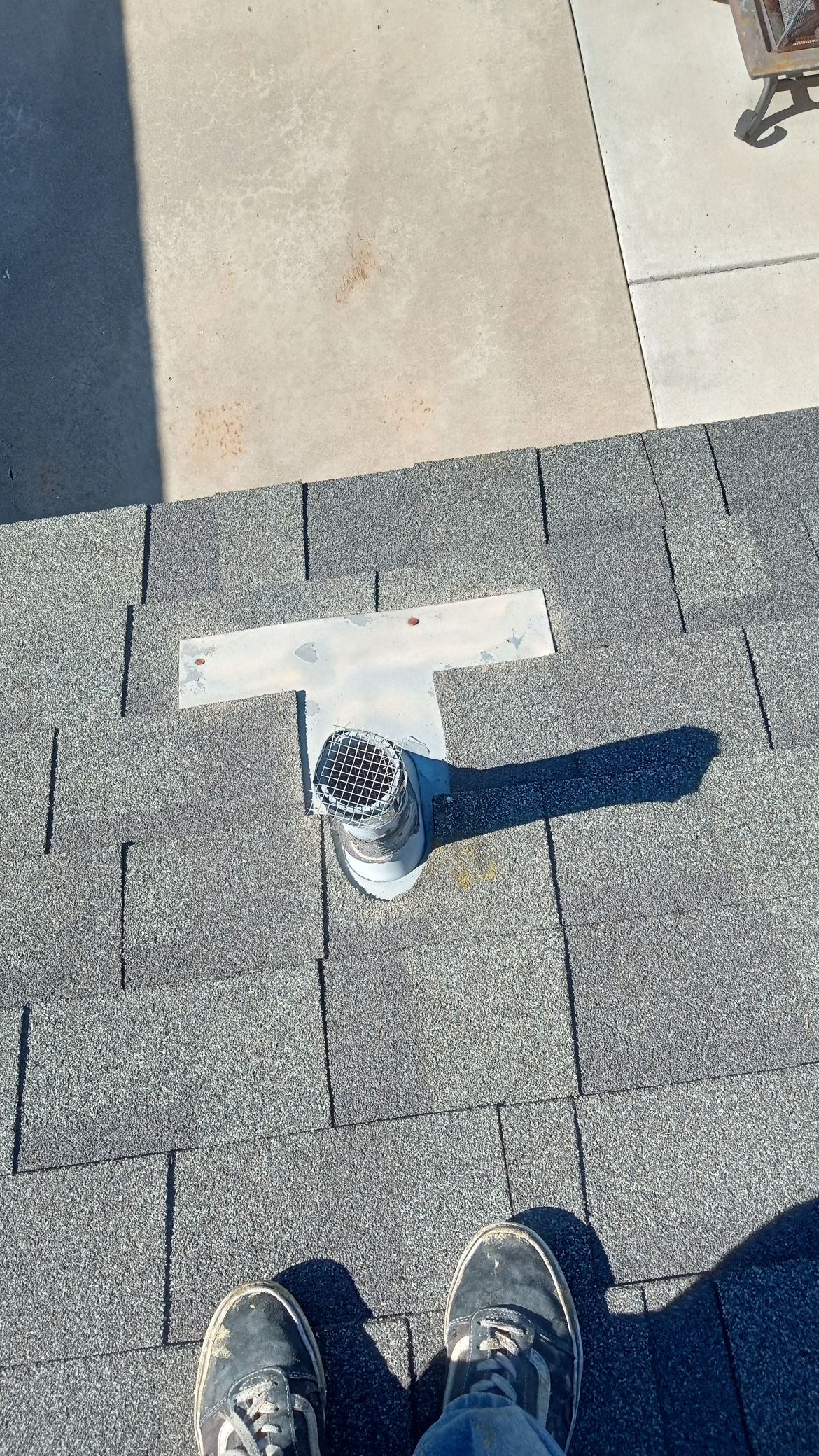 Read more about the article 10 Signs You Need Professional Rodent Proofing Services