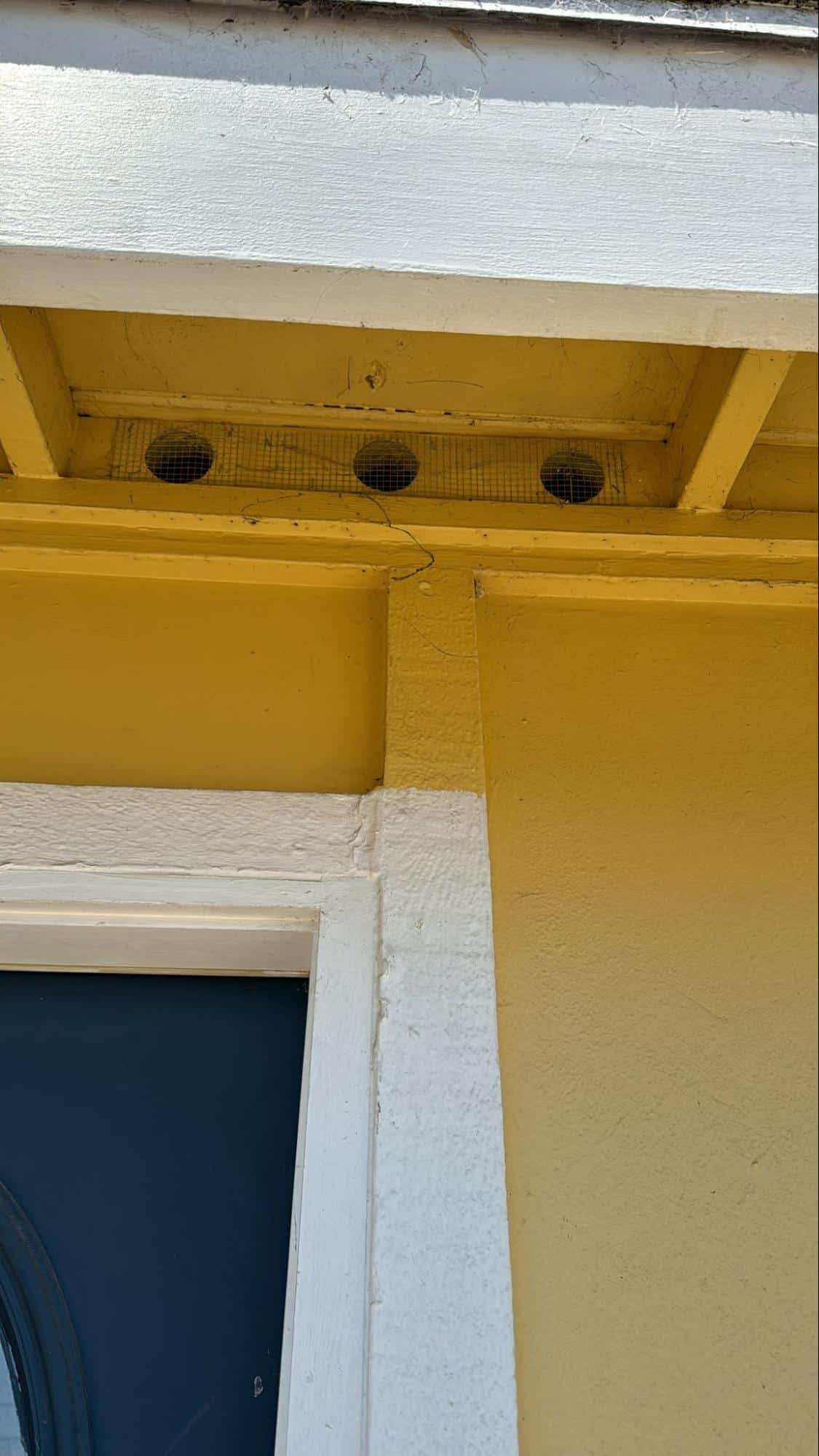 Read more about the article Protect Your Home & Health with Crawl Space Rodent Proofing